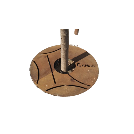 Camas Tree Pit