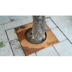 Alcorque Nodo Acero Corten