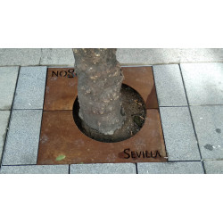 Alcorque Nodo Acero Corten