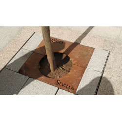 Alcorque Nodo Acero Corten