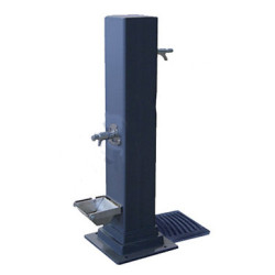 Fuente Milecan
