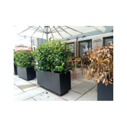 Jardinera Rectangular en Acero Corten o Carbono - Hecha a medida